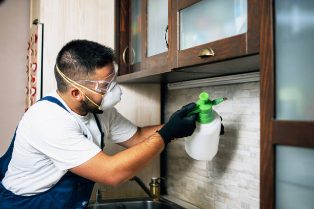 Best Ant Control Services  in Brandermill, VA