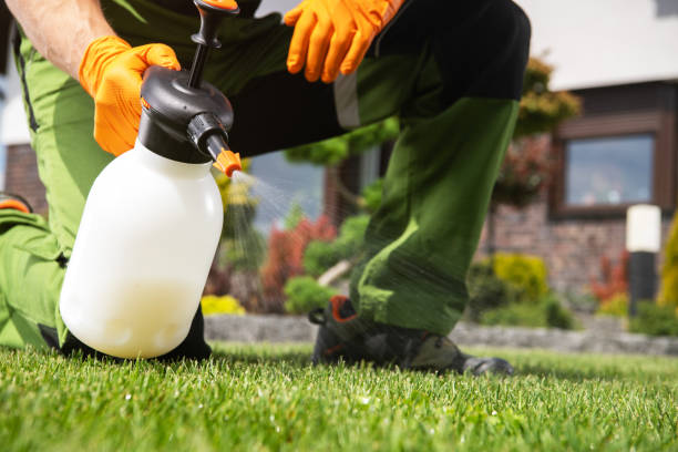 Best Affordable Pest Control Services  in Brandermill, VA