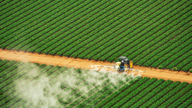 Best Pest Removal Services  in Brandermill, VA