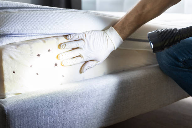 Best Exterminator Services  in Brandermill, VA