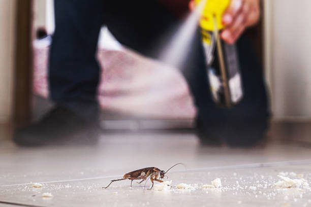 Professional Pest Control in Brandermill, VA
