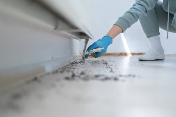 Best Affordable Pest Control Services  in Brandermill, VA